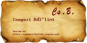 Csegezi Bálint névjegykártya