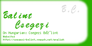 balint csegezi business card